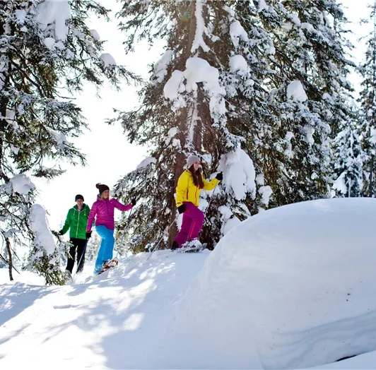 Durch den herrlichen winterlich weißen Wald © Salz