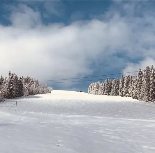 EF54ED3C-A910-4E5C-BF59-B471782ADE5E