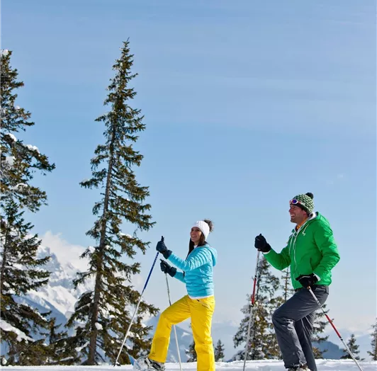 Einen Spaziergang durch den samtweichen Pulverschn