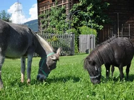 Unser Treamteam
