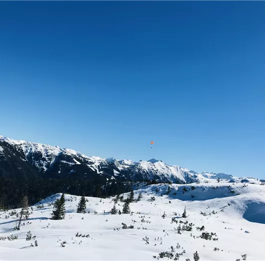 F9D3627D-053F-48CD-92B9-5026AD5C6372