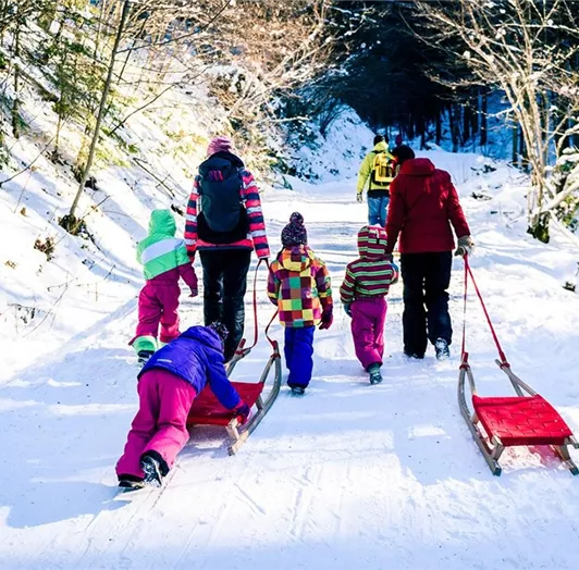 familie-rodeln