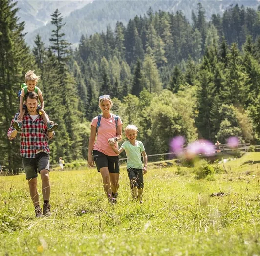 Hiking with the family