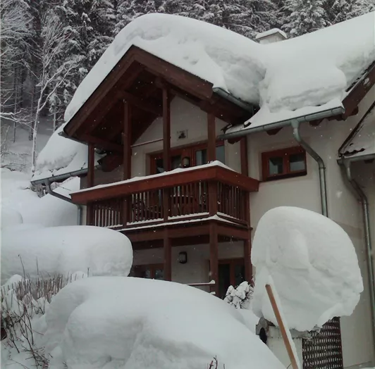 Ferienhaus Waldsicht - Winter