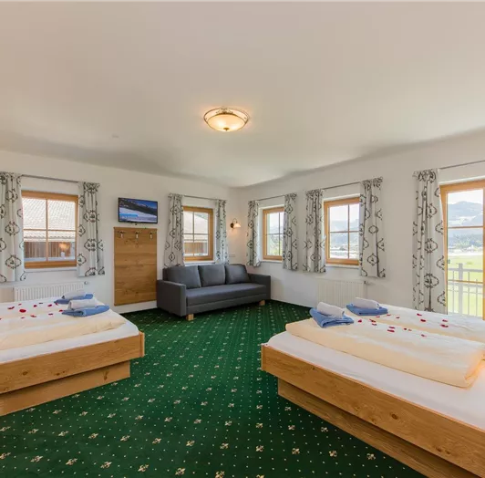 ferienwohnung-bauernsuite-flachau-urlaub-2321