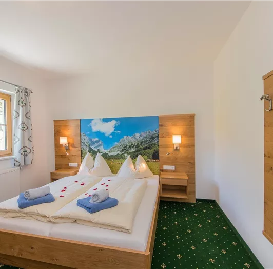 ferienwohnung-bauernsuite-flachau-urlaub-2338