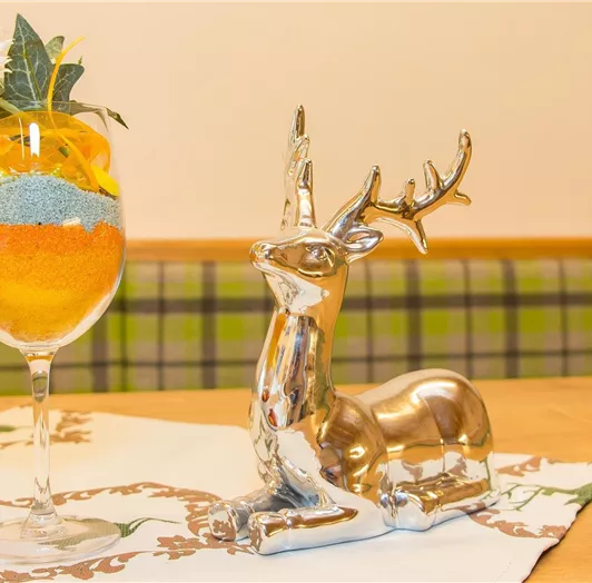 ferienwohnung-flachau-panoramasuite-urlaub-2192