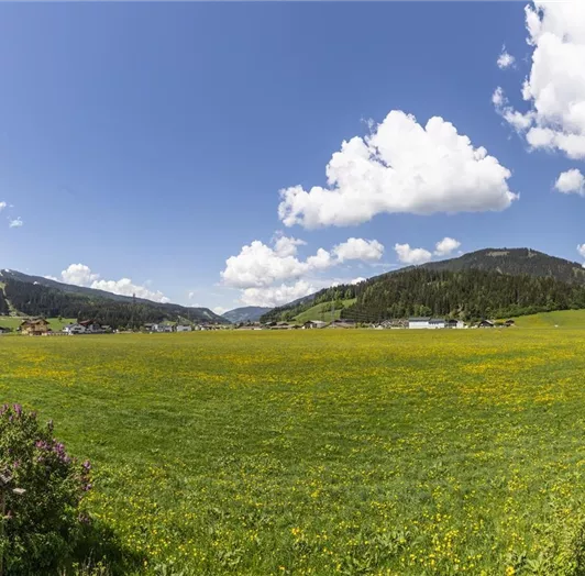 Fingerhof_druck (62 von 62)