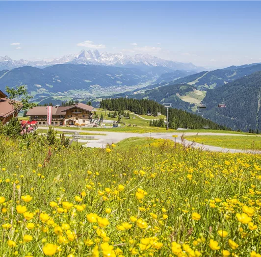 Flachau_Sommer_2k15 (36 von 46)