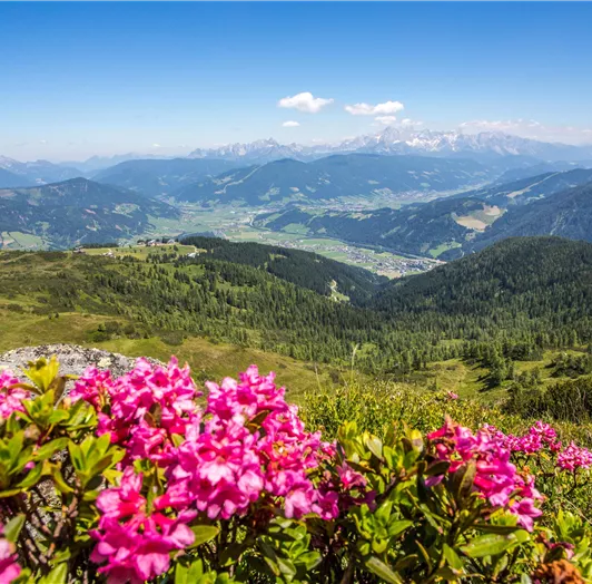 Flachau-Sommer