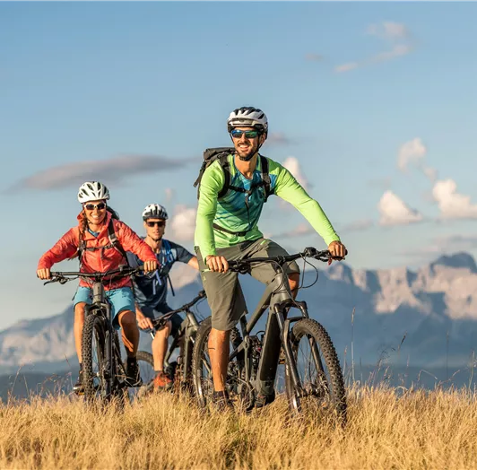 Flachau-Sommer-Biken