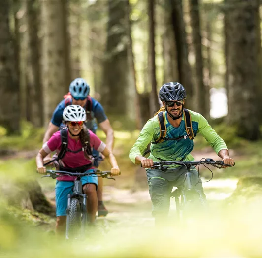 Flachau-Sommer-Biken