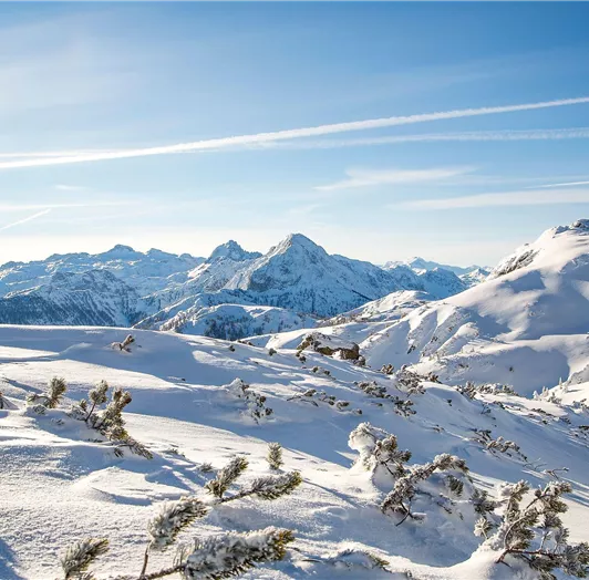 Flachau Tourismus_Christian Fischbacher_Landschaft