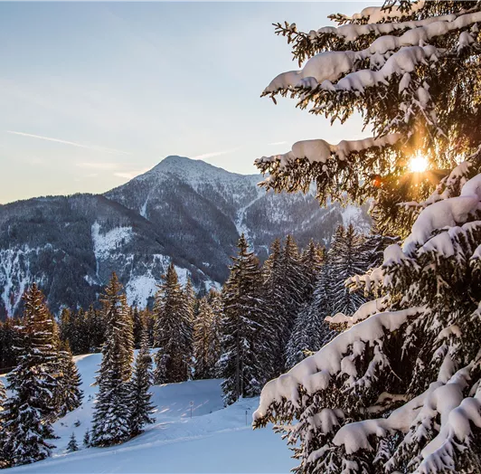 Flachau Tourismus_Christian Fischbacher_Schnee
