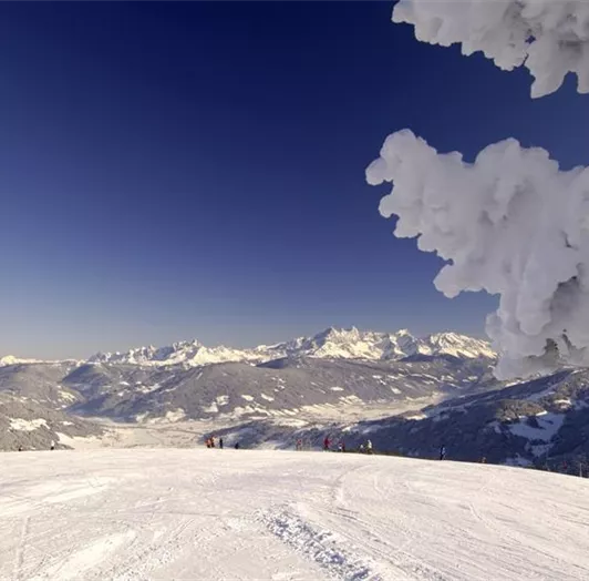 Flachau-Winter-Skigebiet