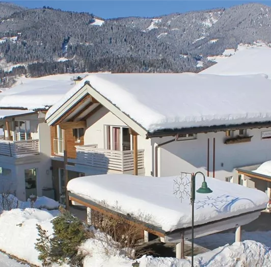 Flachauerl - Haus im Winter