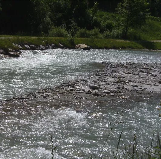Fluss Enns hinter dem Haus