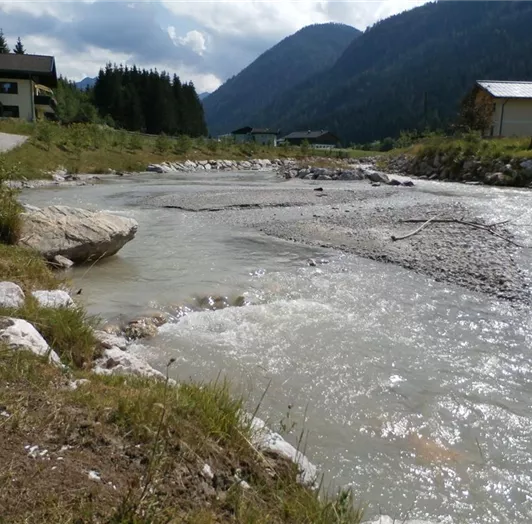 Fluss Enns hinter dem Haus