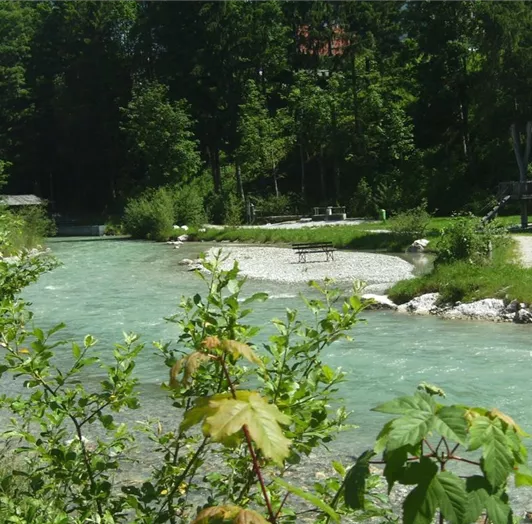 Fluss Enns und Parkanlage hinter dem Haus