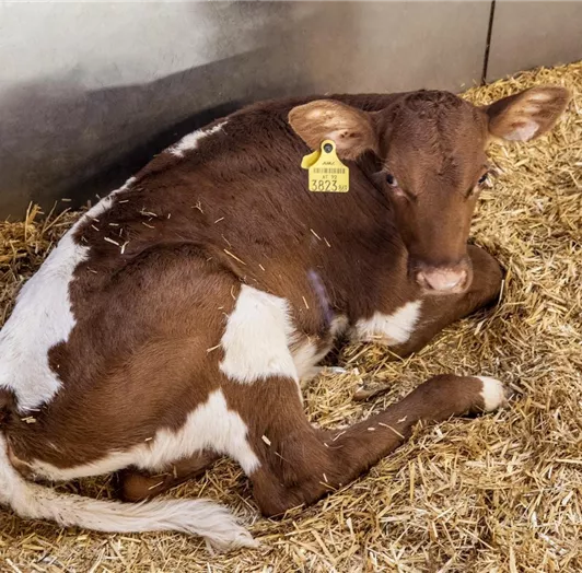 Fotos_web_t2-7 - Kopie