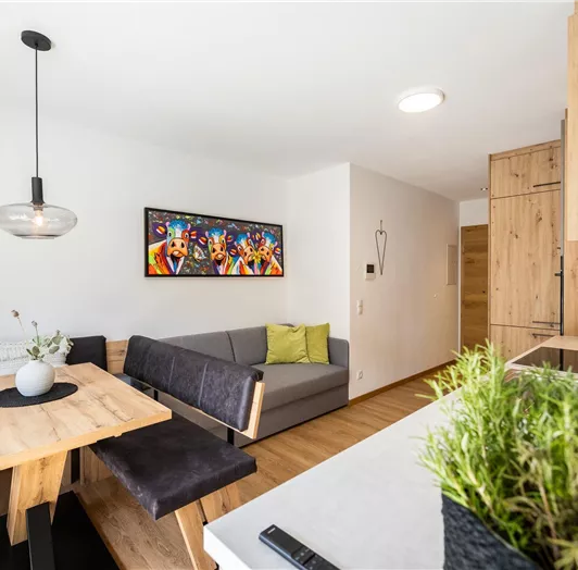 Appartement Fun 53m²