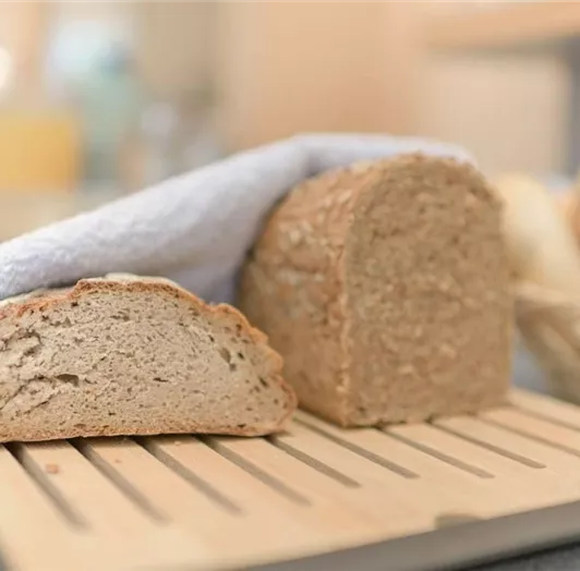 frisches-brot-fruehstueck-gross