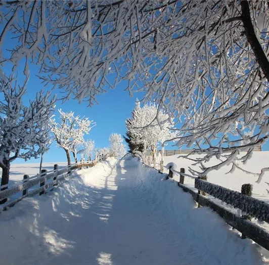 Fußweg zum Berggasthof Winterbauer 200 m entfernt