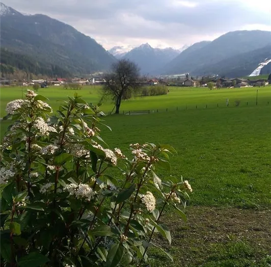 Garten in Arbeit