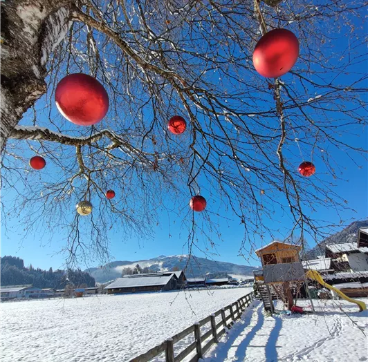 Ein winterlicher Landschaft mit schneebedecktem Boden und dekorierten Ästen. Rote Weihnachtskugeln hängen von einem Baum in der klaren, blauen Himmel.