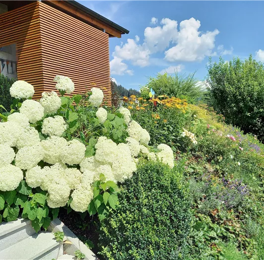 Gartenanlage