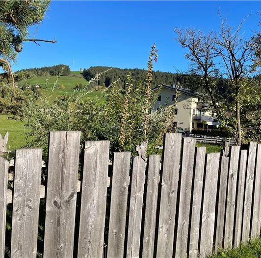 Gartenzaun