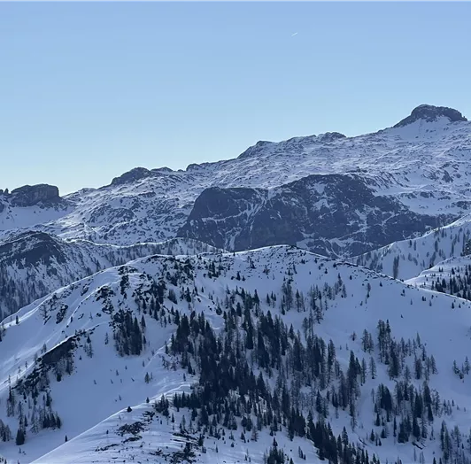 Gasthof Alm