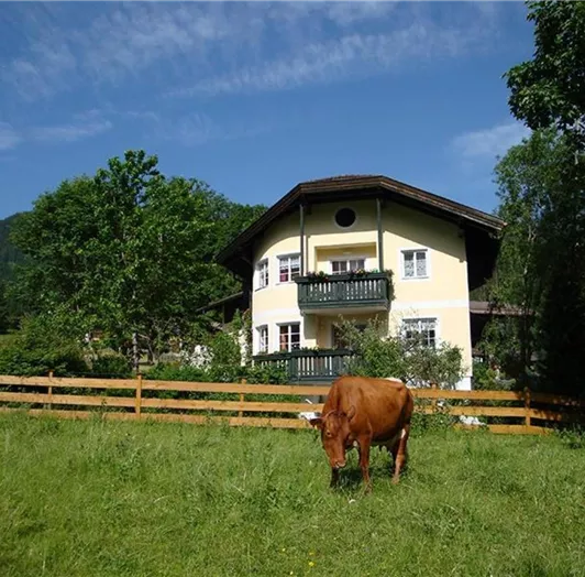 Geistlinger_-_Haus_im_Sommer
