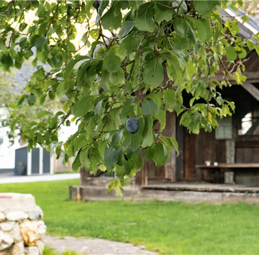 Grillhütte