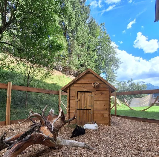 Hasenstall und Auslauf