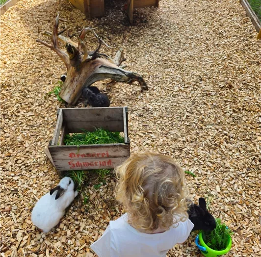 Hasenstall und Auslauf