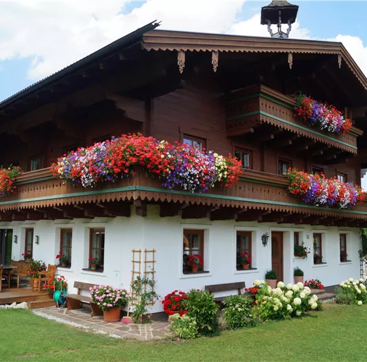 Haus Ansicht im Sommer