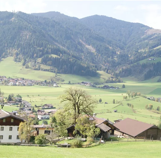 haus aussicht