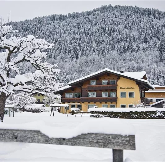 Haus Austria im Winter