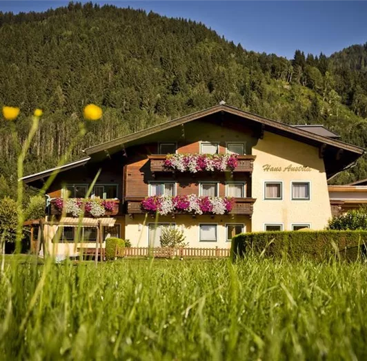 Haus Austria Sommer_4