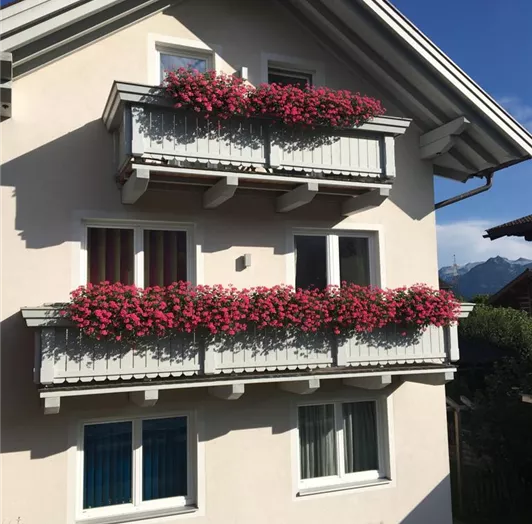 Vorderseite des Hauses Diamant