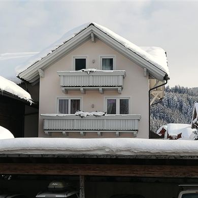 Vorderansicht Haus Diamant mit Carport