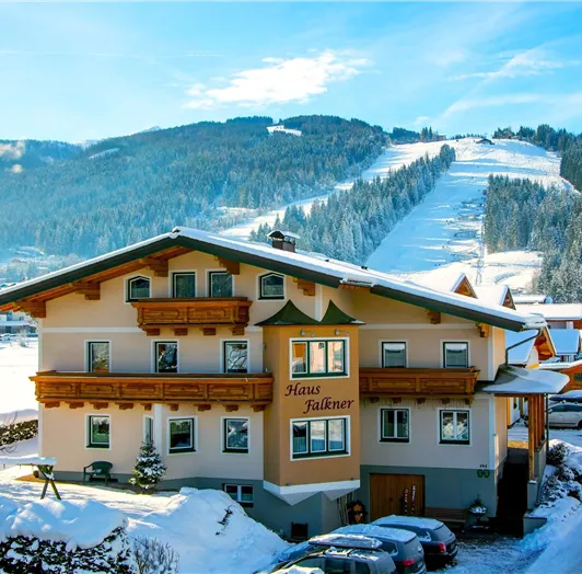 Haus Falkner Winter