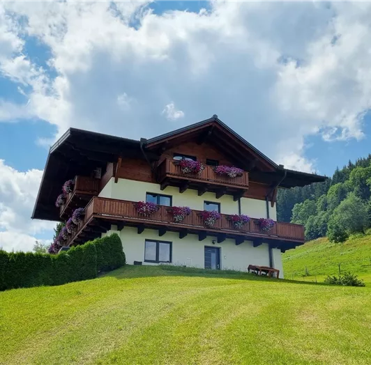 Herrliche Aussicht auf die Berge, Wälder und blühende Blumenwiesen