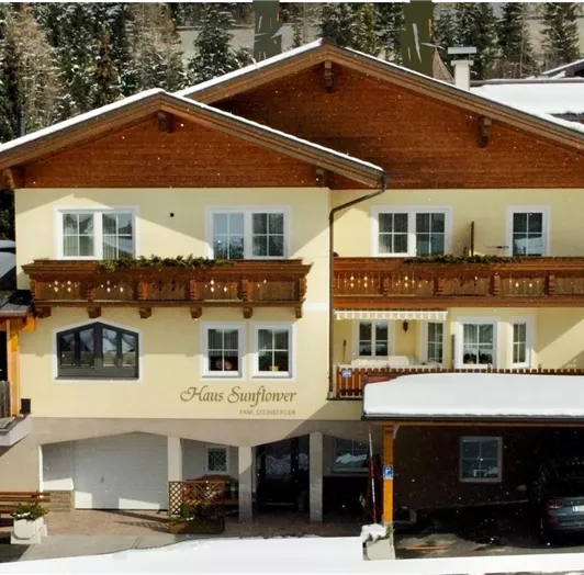 haus sunflower