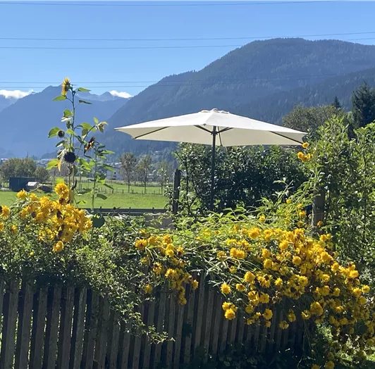 Ein schöner Garten mit gelben Blumen und einem sonnigen Schirm. Im Hintergrund sind grüne Berge und ein blauer Himmel zu sehen.