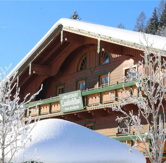 Haus Winteransicht II