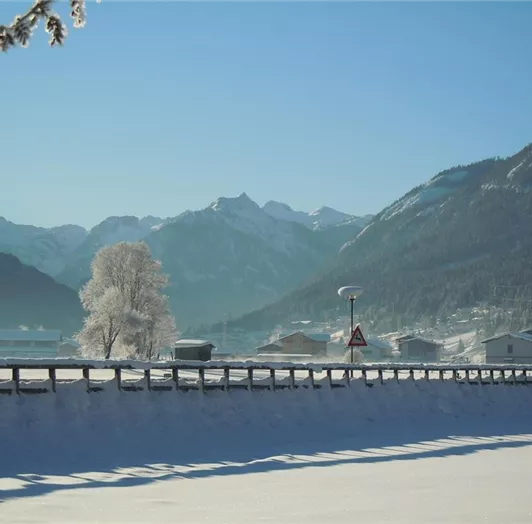 Hausblick Flachau - Winkel