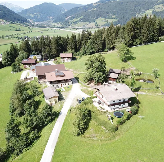HausDrohne1