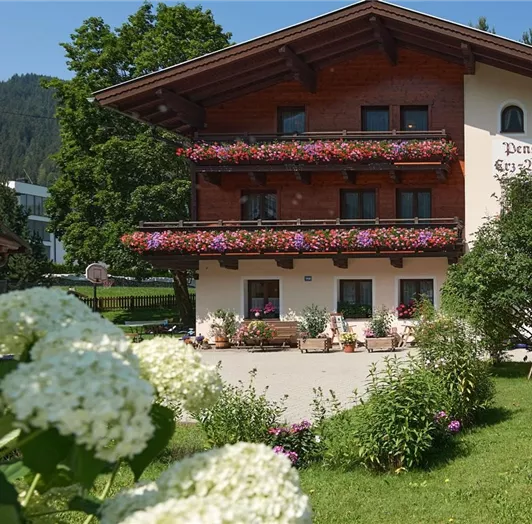 Hausfoto Sommer
